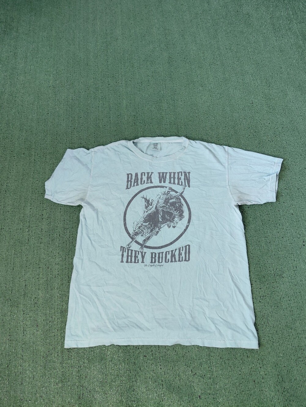 Bull Riding "Back When They Bucked" Cowboy Light Blue T Shirt Sz Large